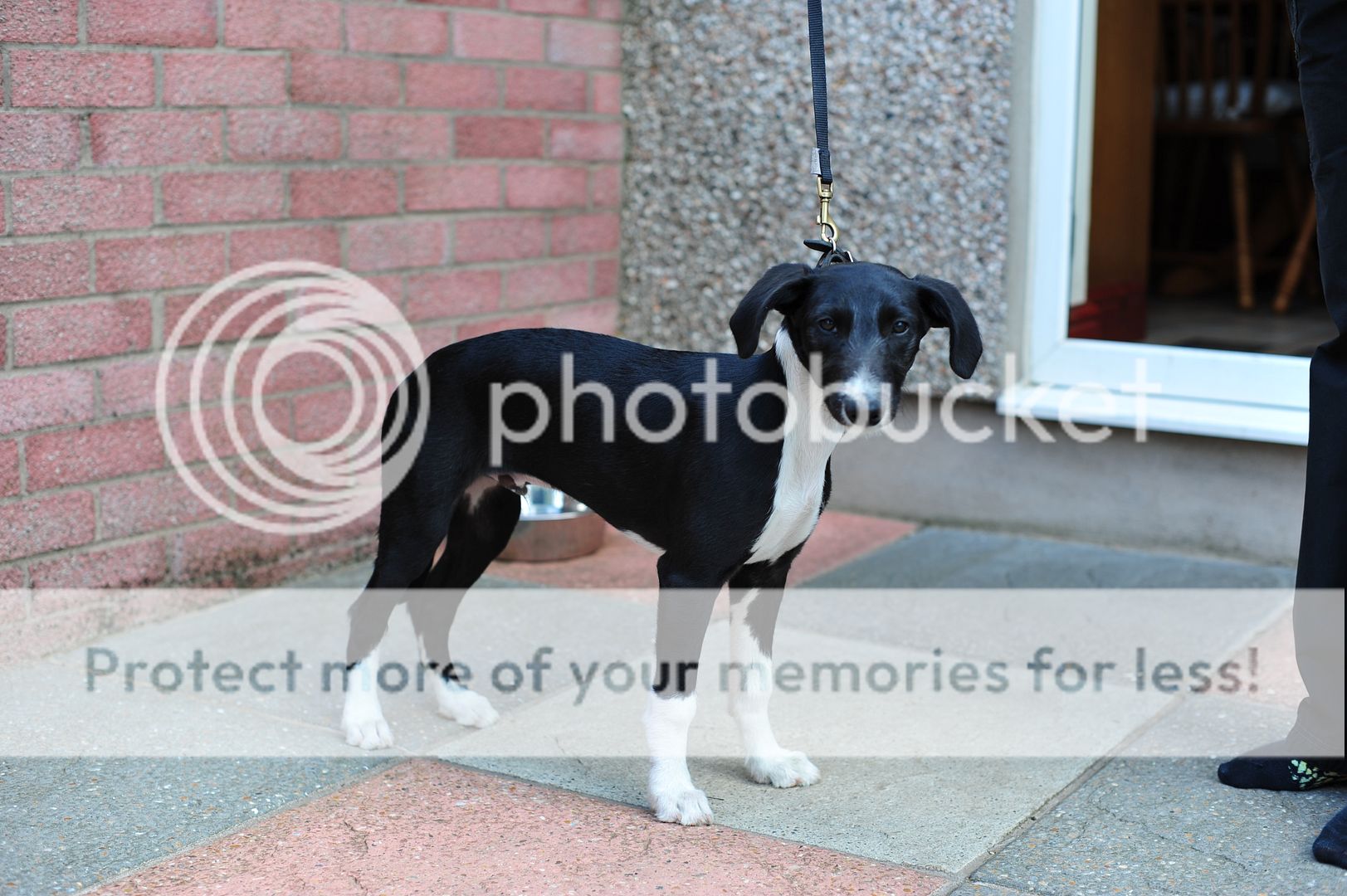 14weeks005_zps72d322f7.jpg