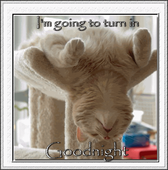 adbgoodnight-kitty32233333222.gif picture by alm1ta_