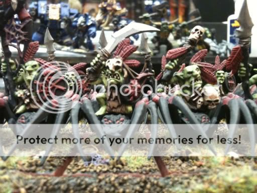 Spider Riders