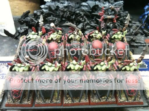 Spider Riders