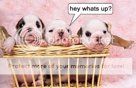hey whats up