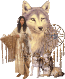 native american wolf