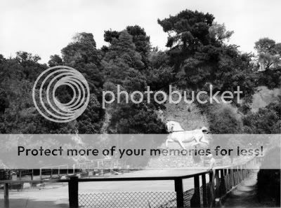 1955 at the Horseshoe Courts in Golden Gate Park - Photo credit: www.sfhorseshoepitching.com