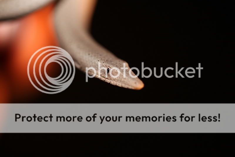 IMAGE: http://i720.photobucket.com/albums/ww206/benc63_photos/IMG_2537.jpg