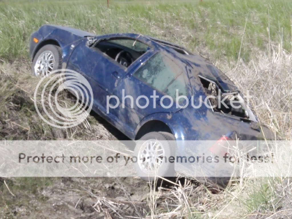 P6220255.jpg?t=1277670636