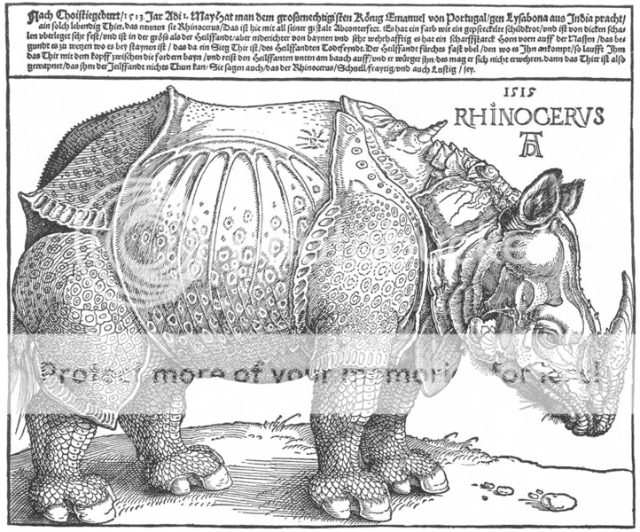 Durer