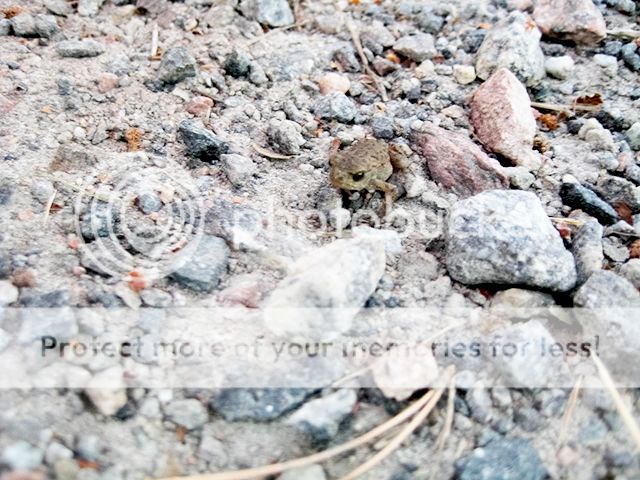 photo 18-4.jpg