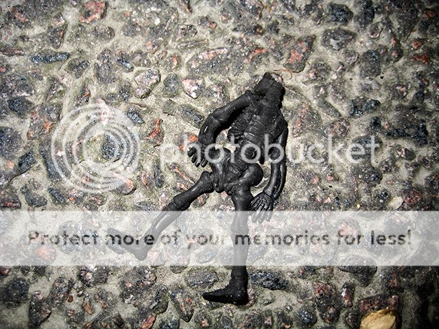 photo 3-11.jpg