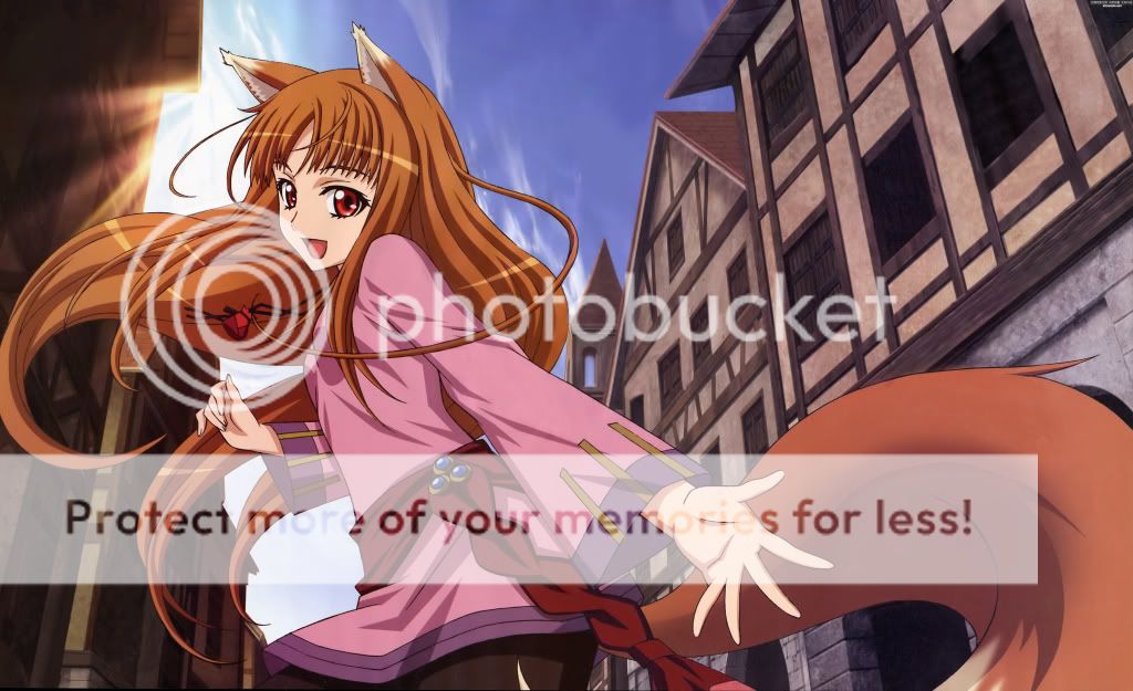 狼族华丽丽的第一贴 大家来讨论 - 狼与香辛料 - 幻樱论坛